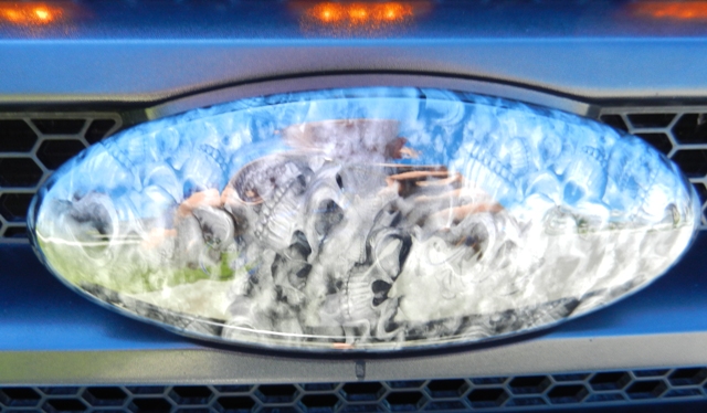 Nominations for Truck of the Month-dscn1648.jpg