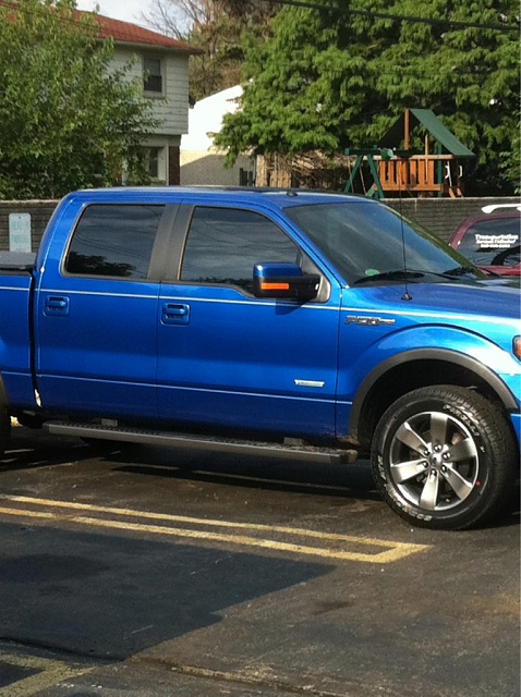 2011 Ford f150 pinstripe #2