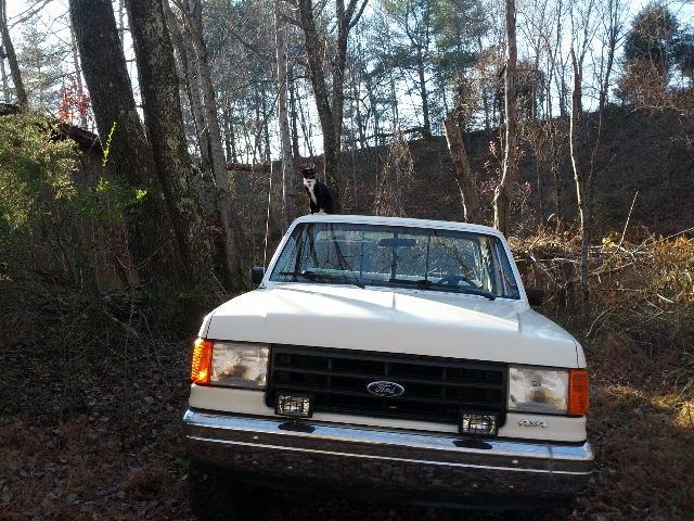 What did you do to your truck today?-forumrunner_20121213_075817.jpg