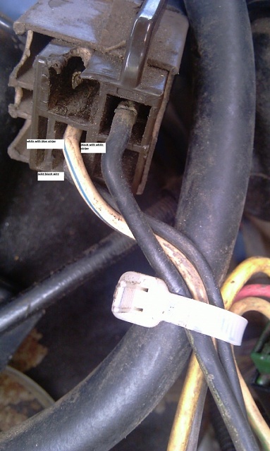 relay and ecm wiring-update-eec-relay.jpg