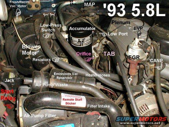 What is this? 1995 f150 5.8l - Ford F150 Forum - Community of Ford ...