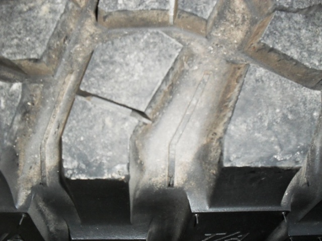 Normal tire wear? or excessive tire wear on right side?TPLZ HELP IF U have mud tires-picture-2309.jpg