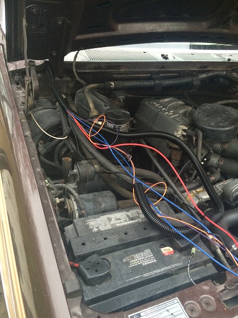 1990 F-150 Build, and Electric Fan Swap-image-4279566380.jpg