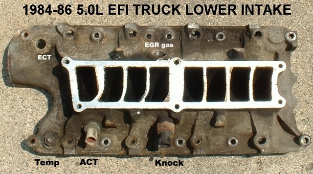 87 f150 5.0 - hesitation and misfire?-302truck_1986_lower-intake.jpg