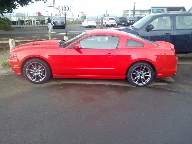 13 Mustang GT 6sp-0814131422.jpg