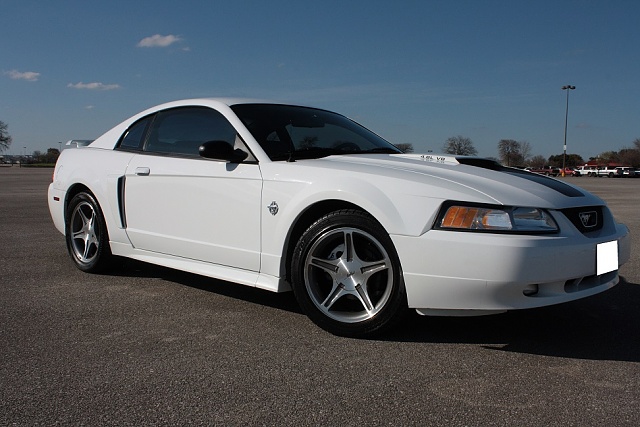 1999 Mustang GT Limited Edition-white-mustang-3-small.jpg
