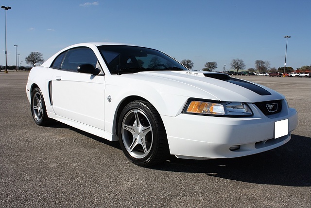 1999 Mustang GT Limited Edition-white-mustang-5-small.jpg