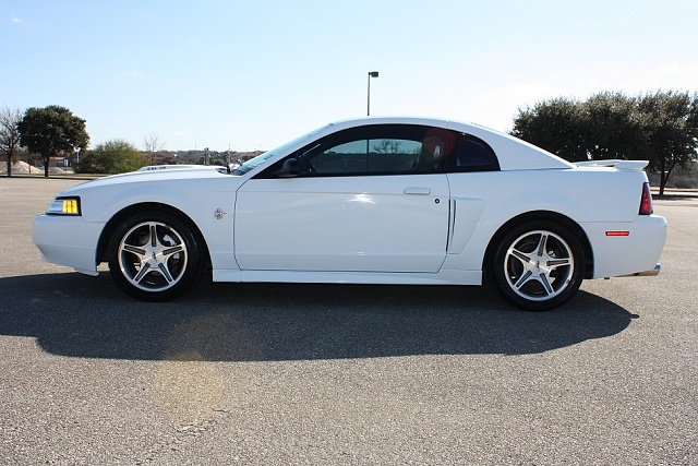 1999 Mustang GT Limited Edition-white-mustang-11-small.jpg