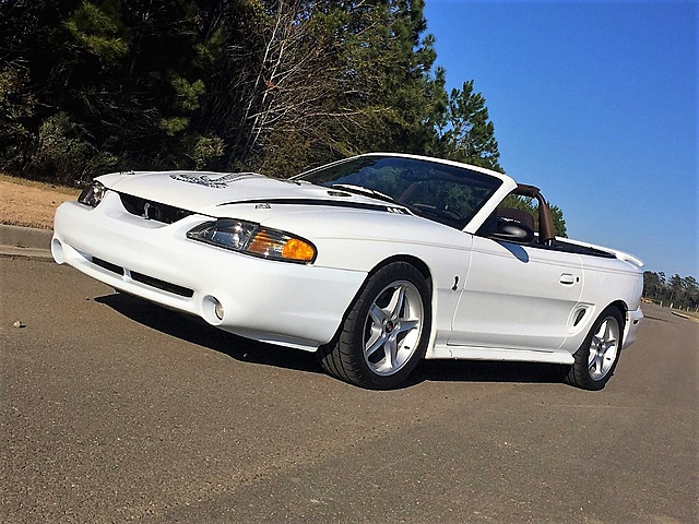 1998 SVT Cobra For Sale-cobra2.adj.jpg