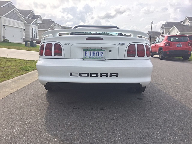 1998 SVT Cobra For Sale-bumper-low.jpg