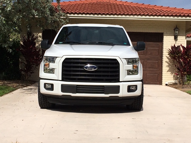2015 F150 Owner Picture Thread-img_4204.jpg