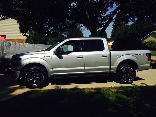 Lets see the Ingot silver f150's!-truck-3.jpg