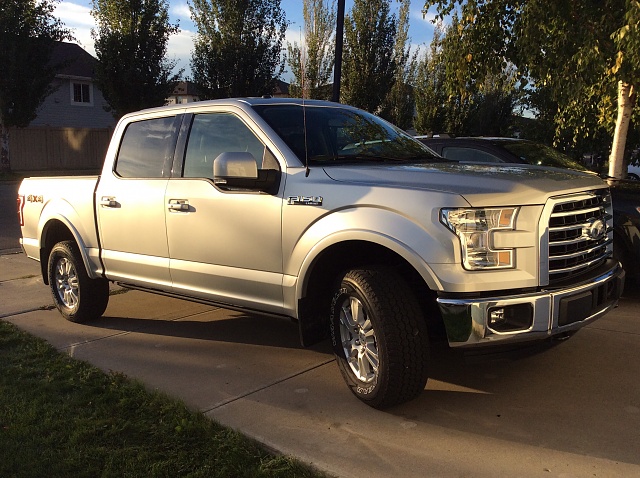 Lets see the Ingot silver f150's!-image.jpg