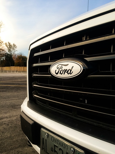 Changing color of ford badge-photo499.jpg