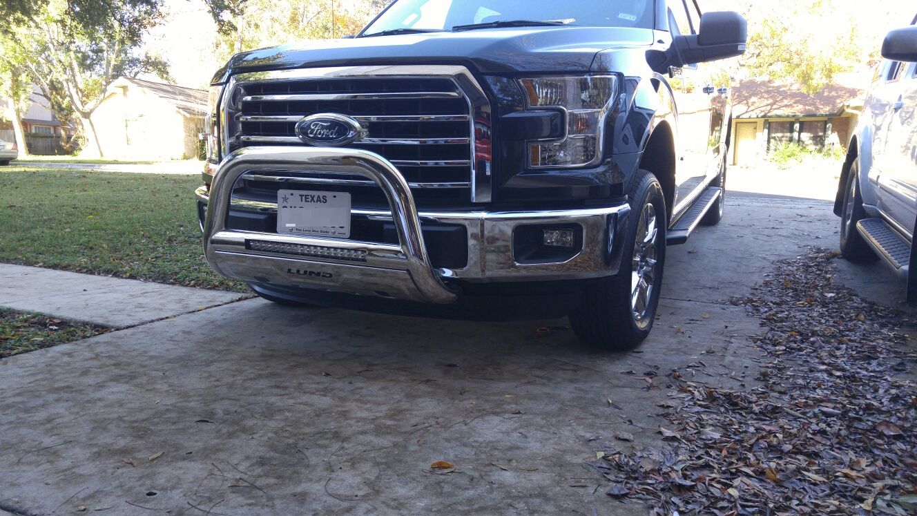 05 f150 bull bar
