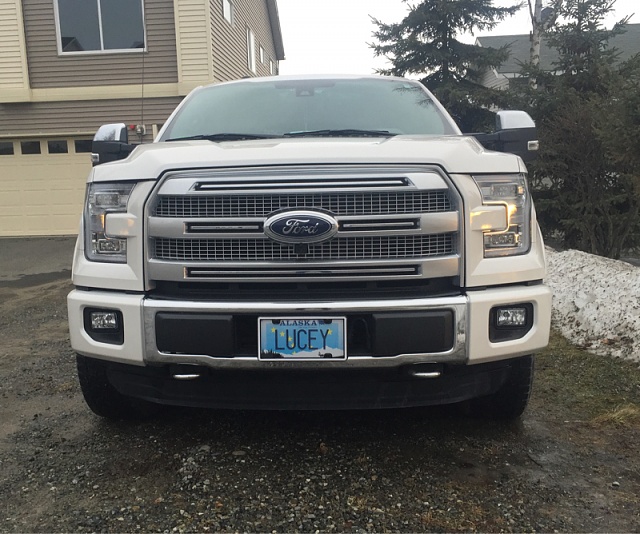 2015 F150 Strictly Pics Thread-image-1757568739.jpg