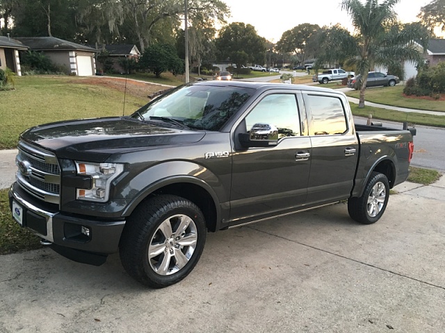 Let's see those Magnetic F-150's!-image-1810517427.jpg