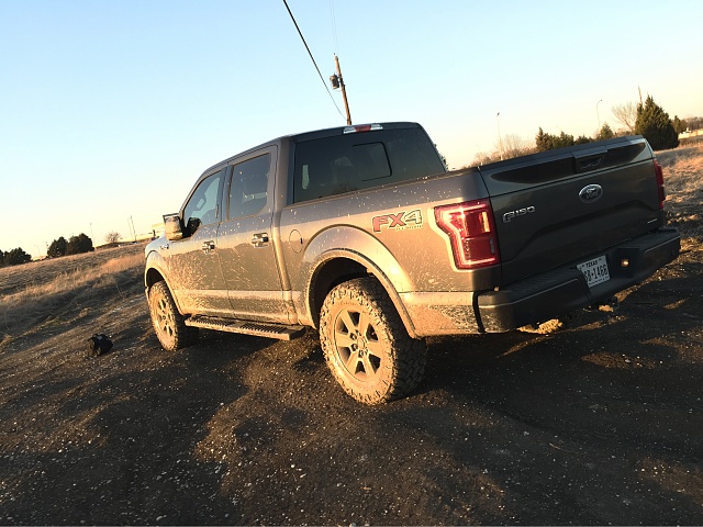 Let's see those Magnetic F-150's!-photo656.jpg