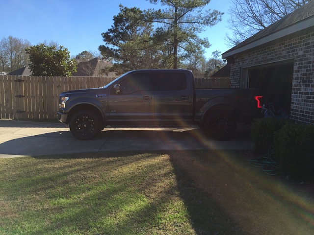 2015 F150 Owner Picture Thread-image-2792560279.jpg