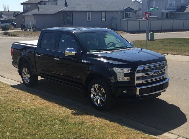 THE 13 Gen Black F150 Photo Thread-image-1509432038.jpg