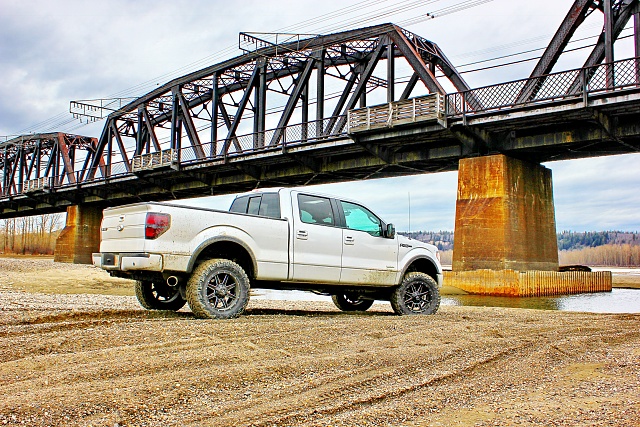 Build Thread 2015 F150 5.0 Lariat FX4 Leveling Kit/Lift, Custom Built Bush Bumpers-img_1203.jpg