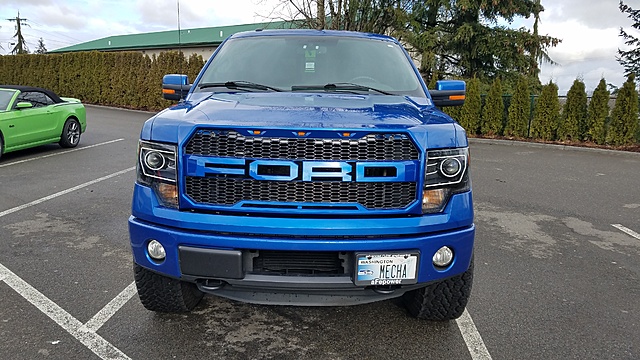 Grill Options Raptor Style Grill-20170226_144758.jpg