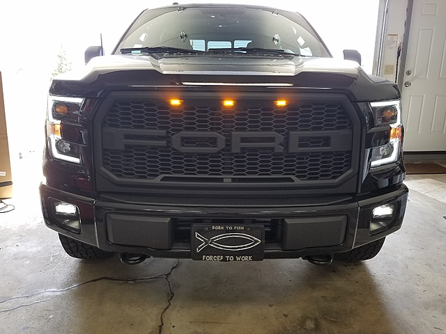 Grill Options Raptor Style Grill-20170402_153423.jpg