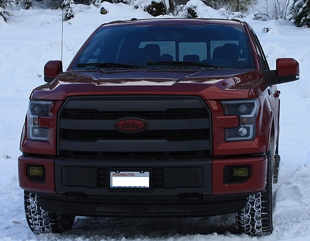 Let's see your Custom Ford Ovals-f150-oval-01.jpg