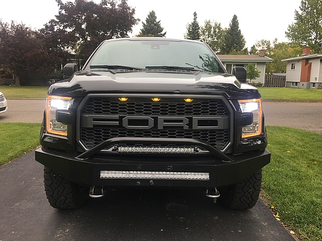 Build Thread 2015 F150 5.0 Lariat FX4 Leveling Kit/Lift, Custom Built Bush Bumpers-img_2750.jpg