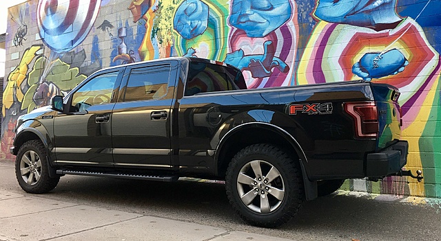 Build Thread 2015 F150 5.0 Lariat FX4 Leveling Kit/Lift, Custom Built Bush Bumpers-img_2788.jpg