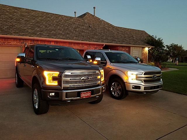 Let's see those Magnetic F-150's!-2015-2018-platinum.jpg