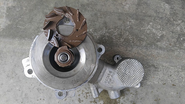 100,000 mile club?-water-pump.jpg