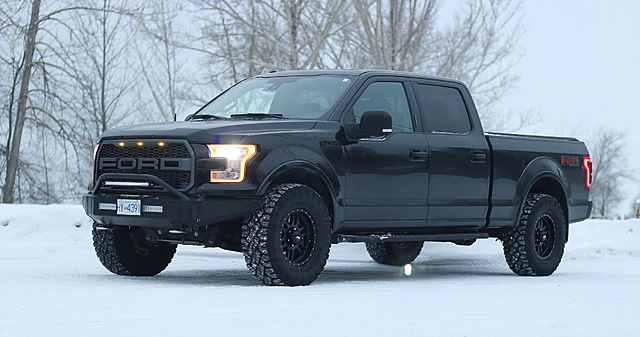 Grill Options Raptor Style Grill - Page 275 - Ford F150 Forum ...