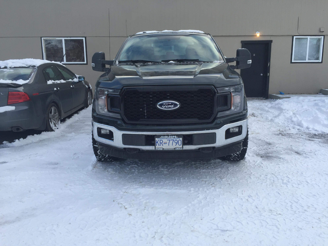 Official 2018 Grille Replacement Thread-img_0092.png