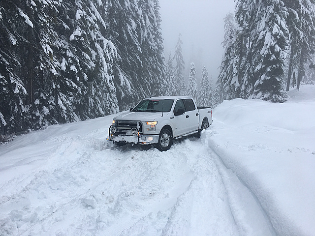 Show Us Your Truck in Snow-photo951.jpg