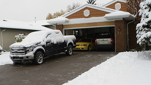 Show your F150 and your Mustang-snowy-2-lr.jpg
