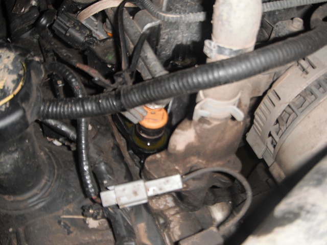antfreeze leak top of engine!!-dscf1034.jpg