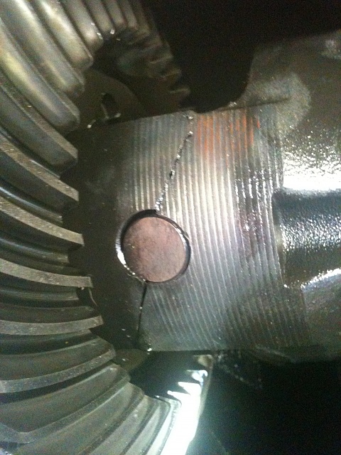 What is this called-img_1173.jpg