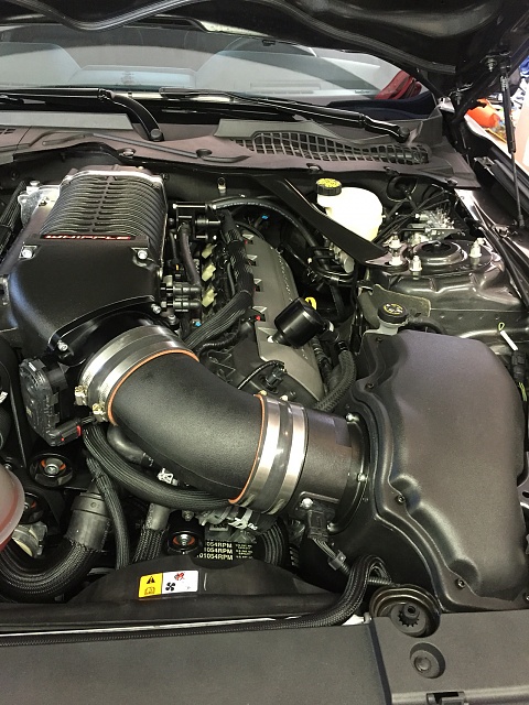 2015 &quot;Ruby&quot; 2.9 Whipple Supercharger Install-photo126.jpg