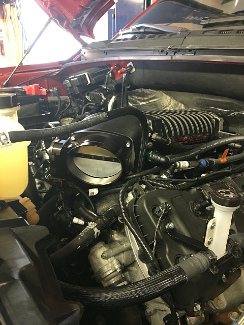 2015 &quot;Ruby&quot; 2.9 Whipple Supercharger Install-photo235.jpg