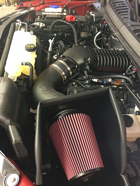 2015 &quot;Ruby&quot; 2.9 Whipple Supercharger Install-photo492.jpg