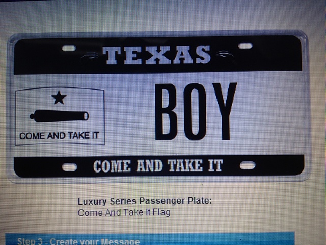 Custom License Plate Ideas?-image-3529254419.jpg