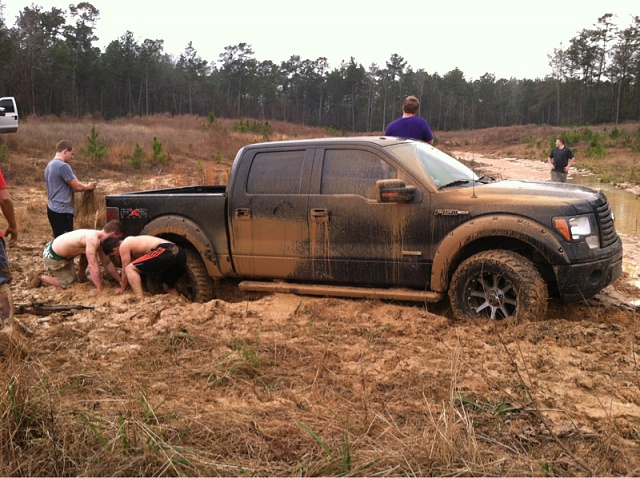 (1) What did you and your truck do today?-image-3983195518.jpg