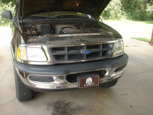 panted my grille *PIC HEAVY*-dsc02059.jpg