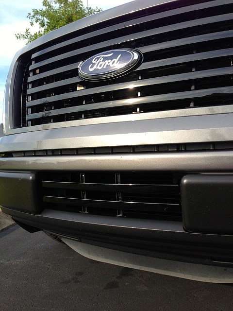 Ecoboost Front Grill Piece-bars.jpg