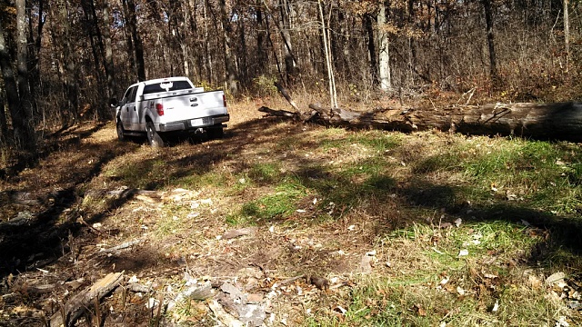 (1) What did you and your truck do today?-tree-removal-001.jpg
