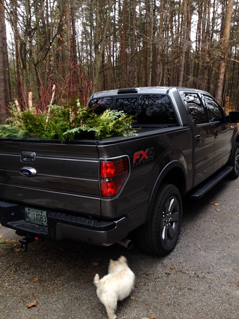 (1) What did you and your truck do today?-image-4015630810.jpg