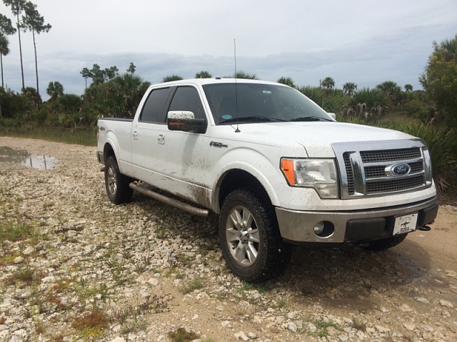 Let's see those white f150's!!!!!!!!!!!-image-1417420590.jpg