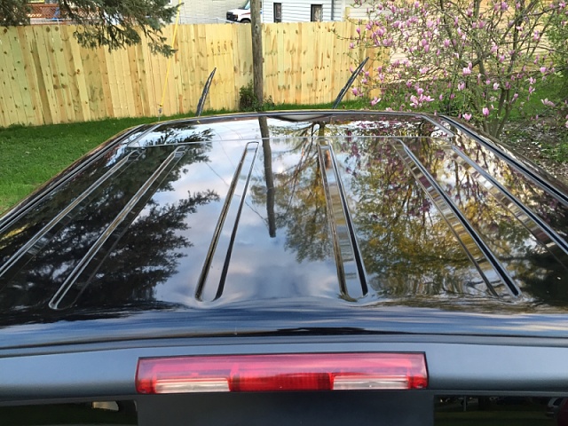 Just Waxed with Collinite 845-image-3934485159.jpg