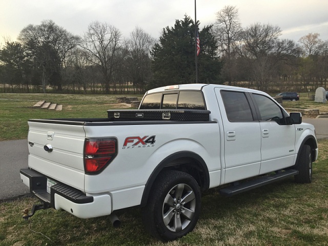 F150 Picture of the Day-image-2317845844.jpg